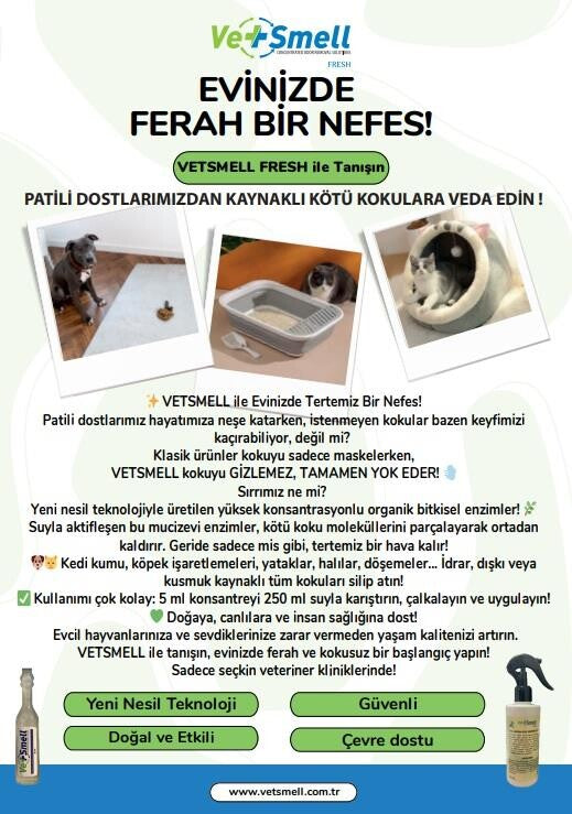 Vetsmell Konsantre Organik Kötü Koku Giderici Solüsyon) | SRC: Barcode: